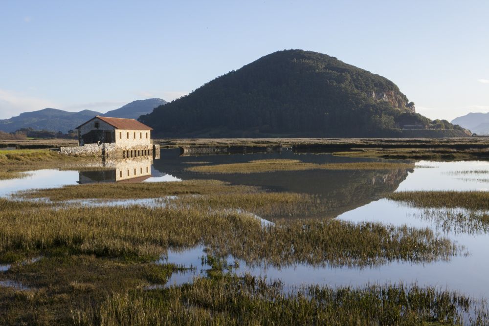 Marisma de Escalante