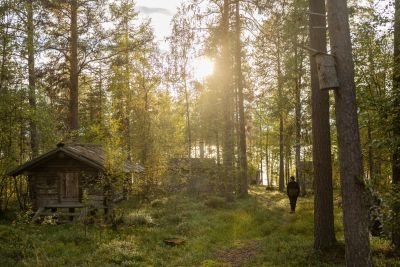 Jour 5 : Randonnée et retour à l’hébergement