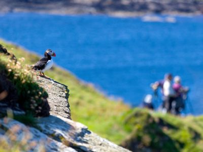 Écosse - Les îles Orcades